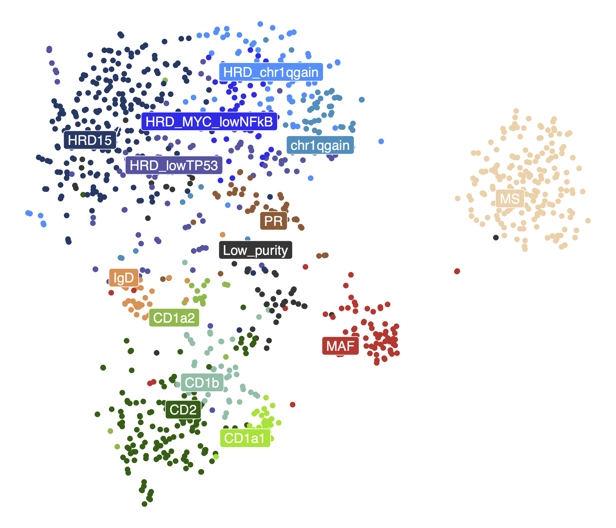 TSNE of samples colored by subtypes