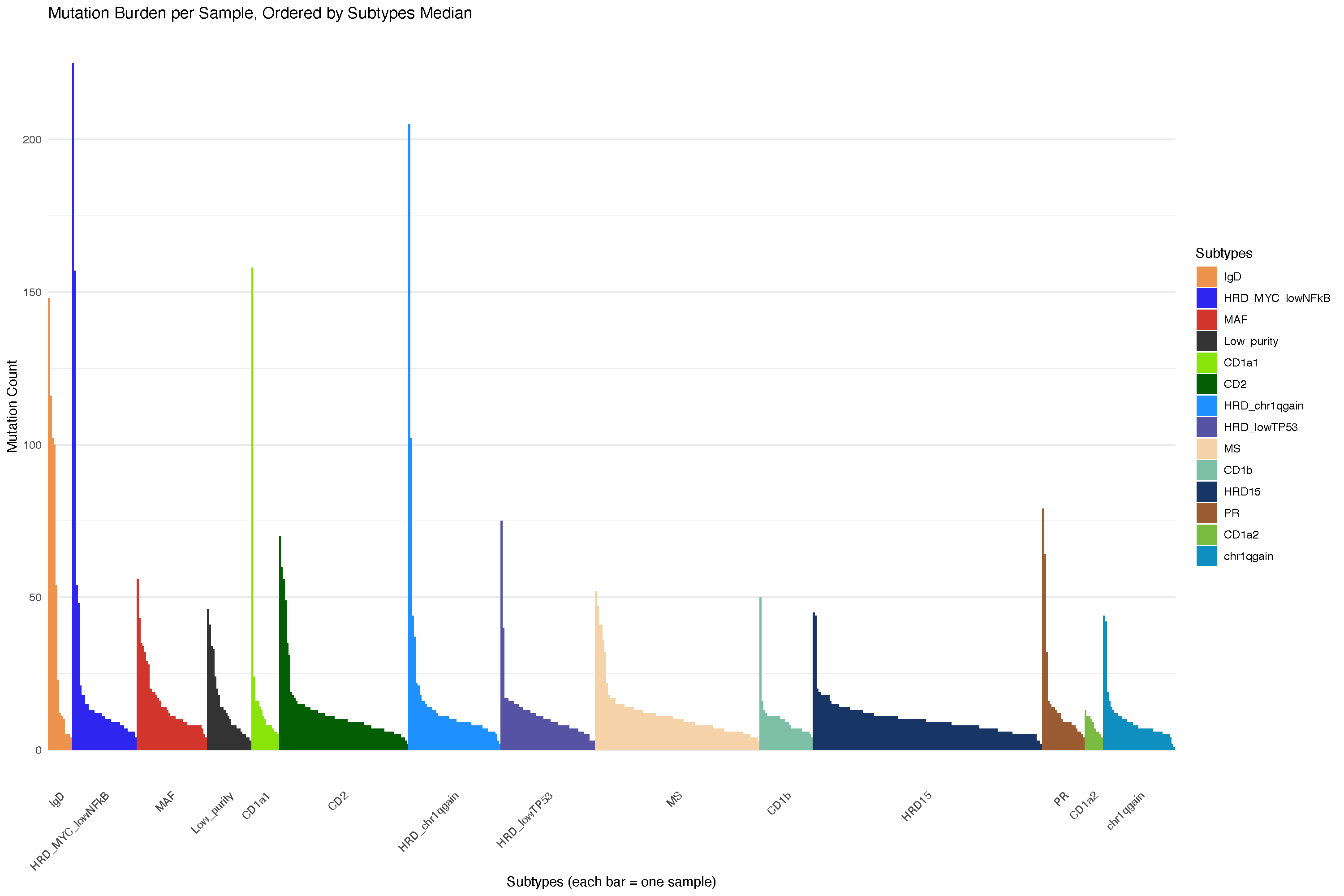 Overall mutation burden across subtypes (filtered by key genes)