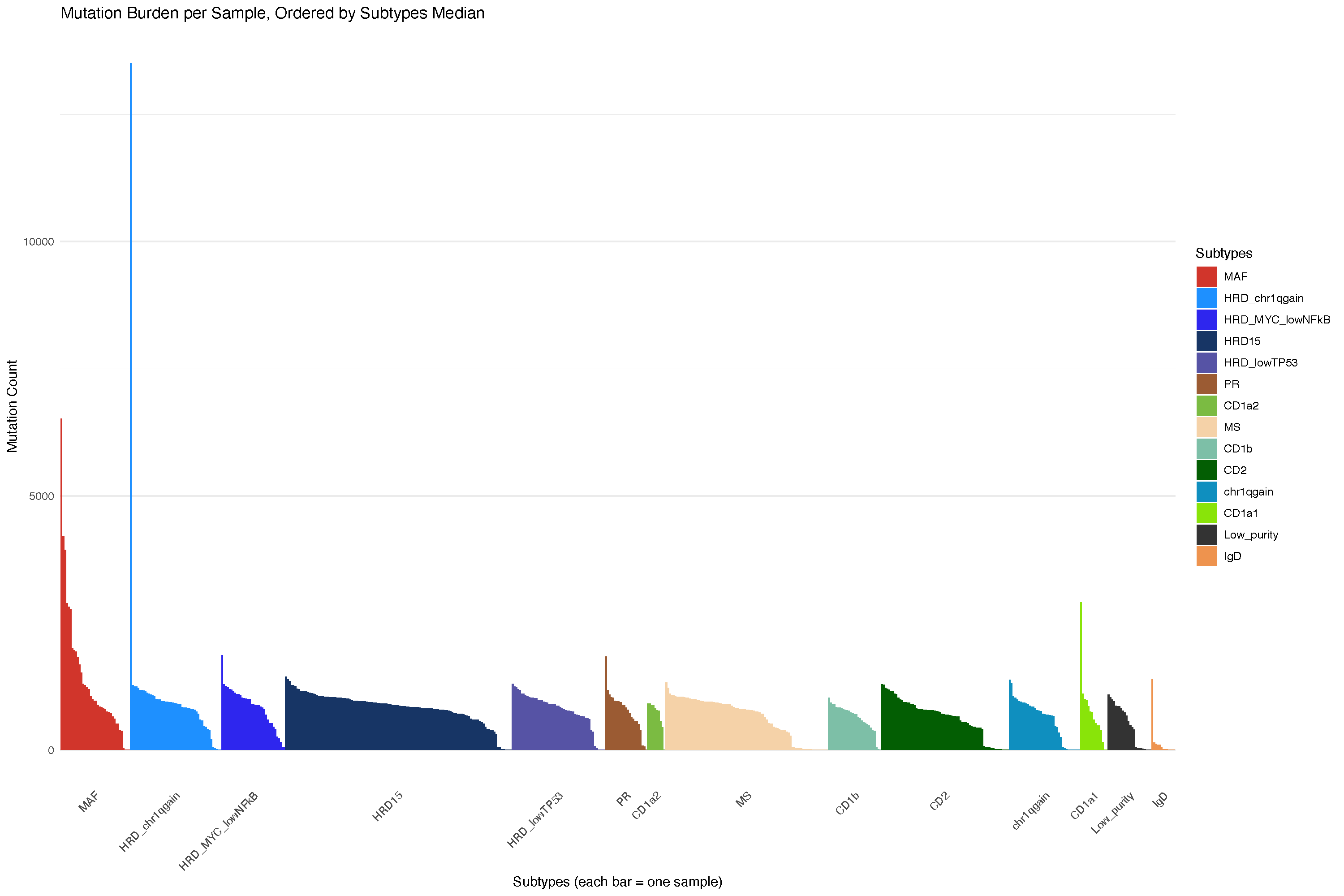 Overall mutation burden across subtypes